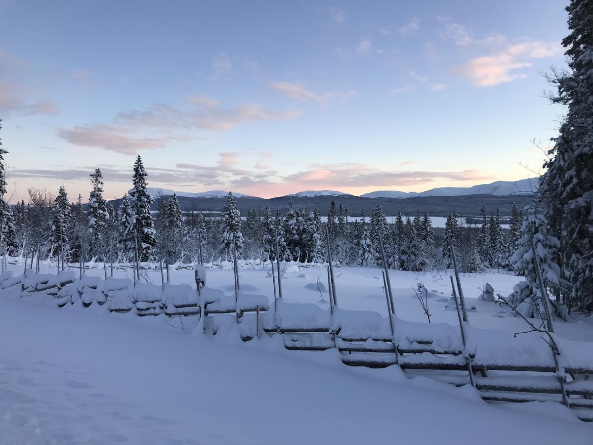 Ottsjoe Bear Lodge Buitenkant foto